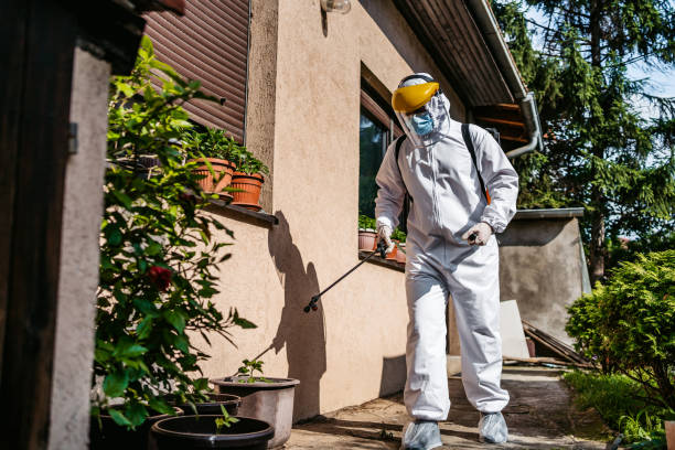 Best Termite Control Services  in New York Mills, NY