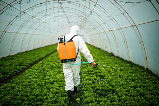 Pest Prevention Services in New York Mills, NY