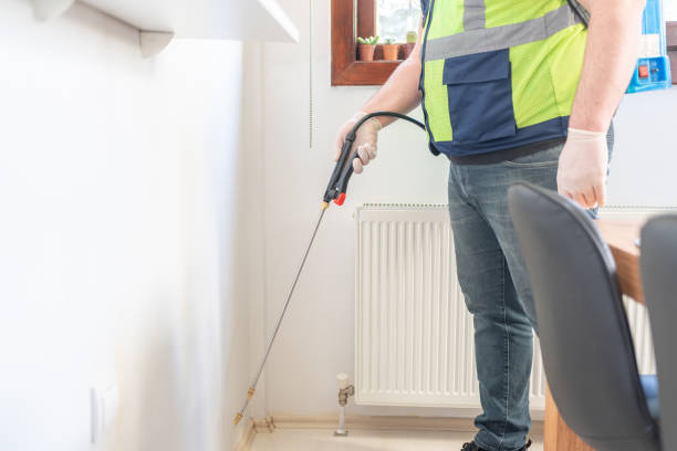 Reliable New York Mills, NY Pest Control Solutions