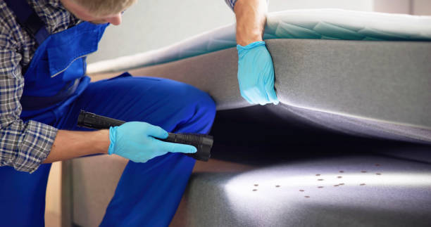 Pest Control Cost in New York Mills, NY
