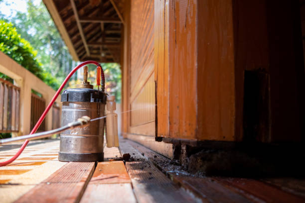 Best Pest Removal Services  in New York Mills, NY