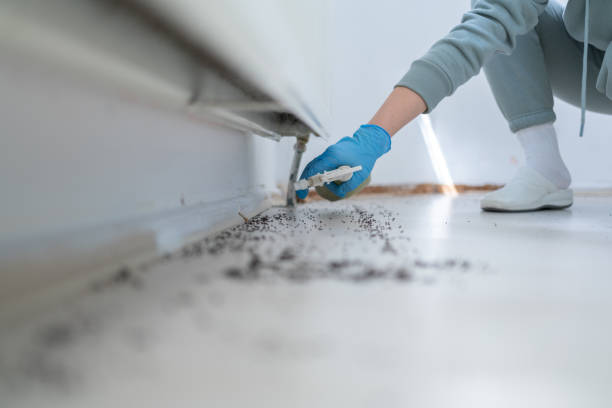 Professional Pest Control in New York Mills, NY